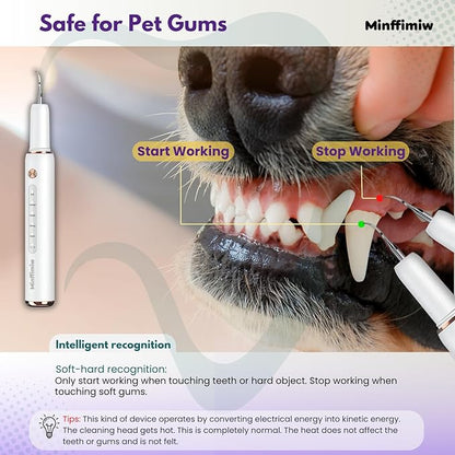 Dog Plaque and Tartar Remover - Image 2