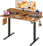DEVAISE 48×24 Inches Electric Standing Desk by DEVAISE
