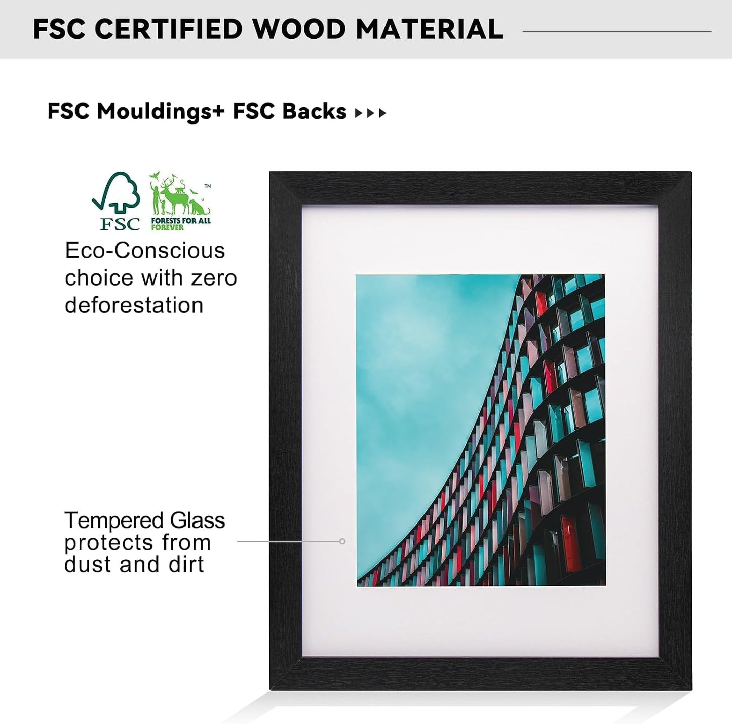 12x16 Picture Frame-Black,9x12 Mat,Tempered Glass,Engineered Wood | 8 x 8 Wood Photo Frame,FSC Certified Eco-Friendly,Acid-Free Removable Mat,Wall Hanging&Easel for Tabletop Display,3 Pack
