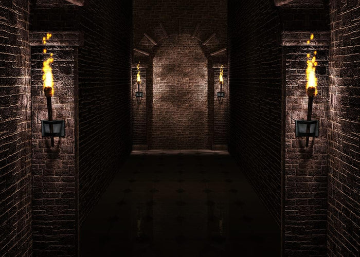 BELECO 12x10ft Fabric Gothic Castle Backdrop Ancient Black Brick Stone Wall Arches Torches Dungeon Medieval Castle Scene Halloween Night Background Medieval Party Decorations Studio Booth Photo Props