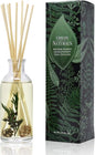 Urban Naturals Balsam Forest Reed Diffuser Oil Set by UrbanNaturals