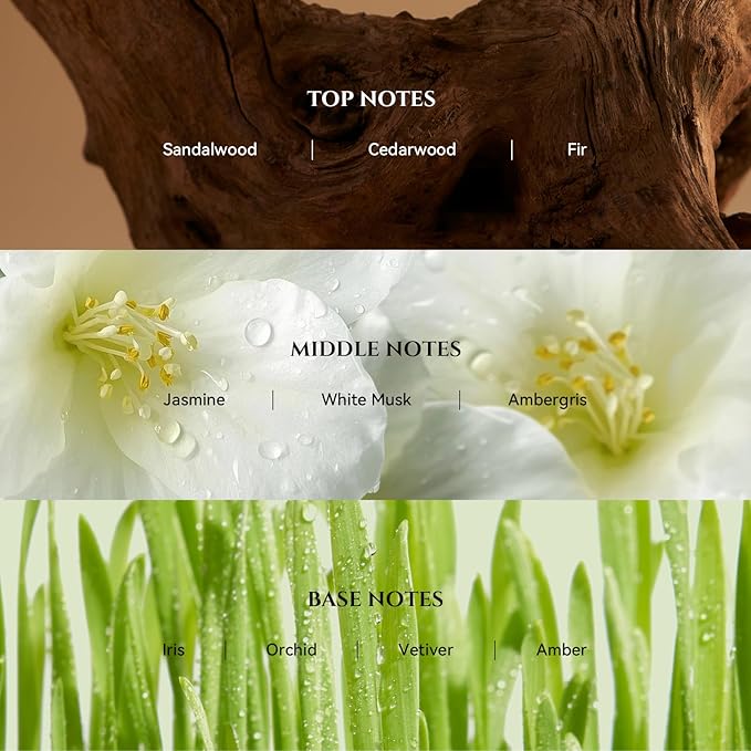 AROMADD Vanilla Silk Diffuser Oil Inspired by Luxury Hotel Scent 3.38 Fl Oz - Image 2
