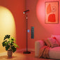 SIBRILLE Spotlight Floor Lamp, Tall LED Standing Lamp by SIBRILLE