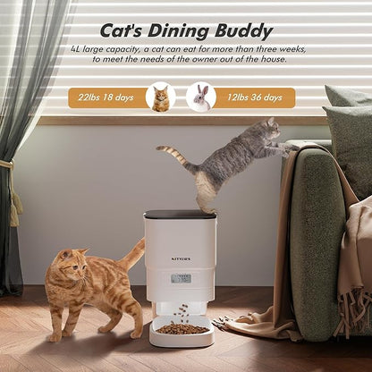 Automatic Cat Feeder - Image 4