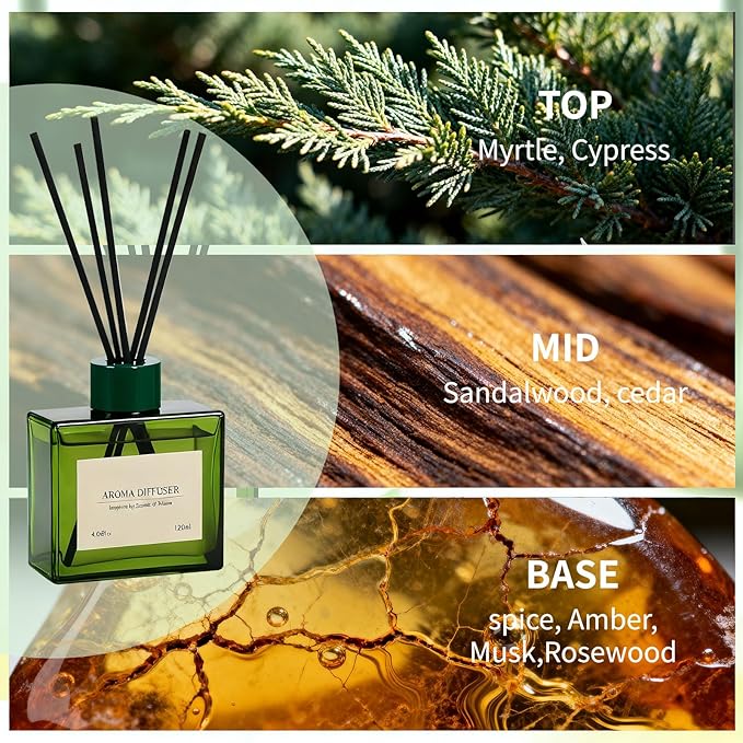 Reed Diffuser, 4 oz Earthy Sandalwood Scent Diffuser - Image 2