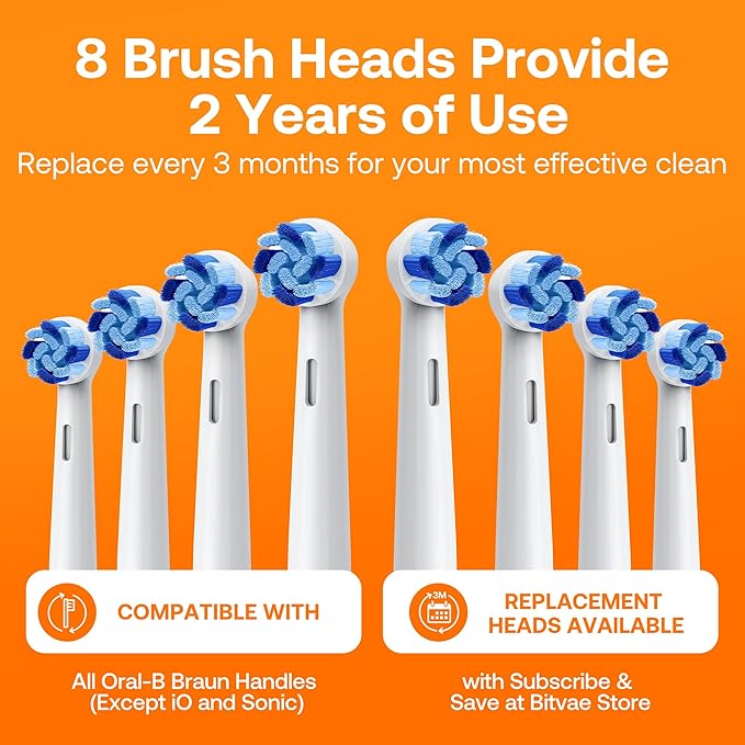 Bitvae R1 Rotating Electric Toothbrush - Image 3