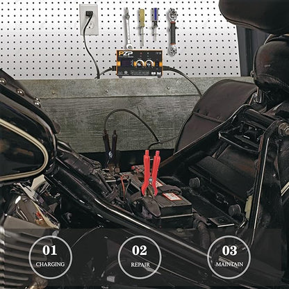 PZP 12V Manual Battery Charger Maintainer, 0 to 10A Arbitrarily Adjustable Car - Image 9