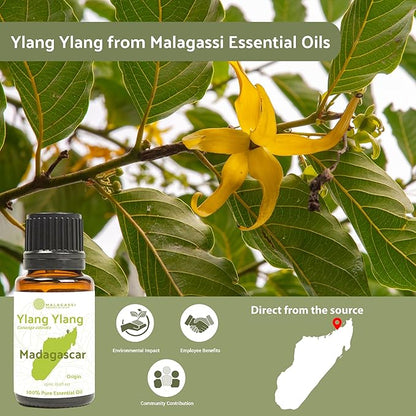 Ylang Ylang Essential Oil - Image 6