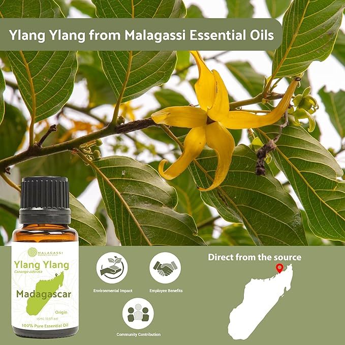 Ylang Ylang Essential Oil - Image 6