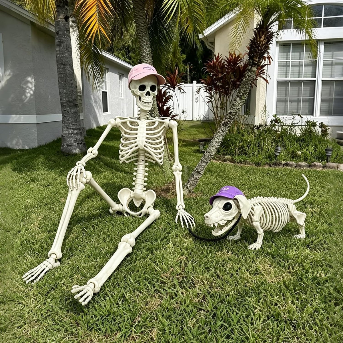 36'' Halloween Skeleton Decoration with Dog: Posable Skeleton Glowing...
