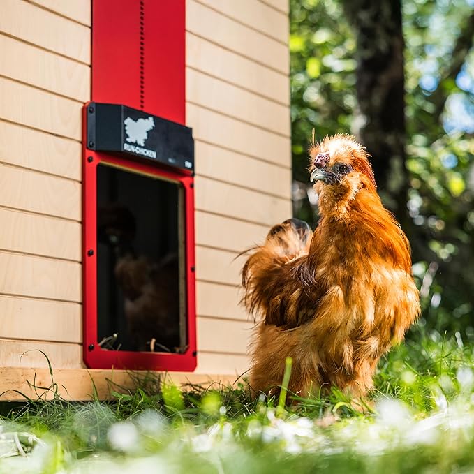 Run-Chicken Door T50 – Automatic Chicken Coop Door Opener, Battery Powered & - Image 3