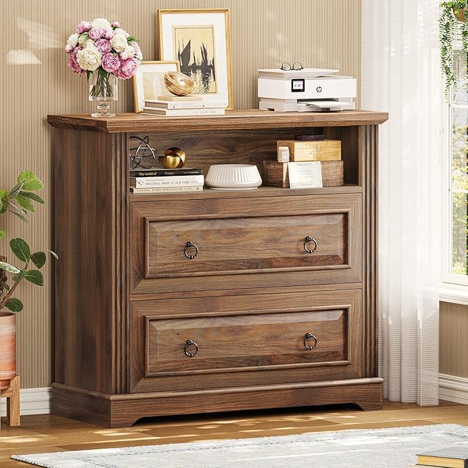 Itaar 2 Drawer File Cabinet, Farmhouse Filing Cabinet by Itaar