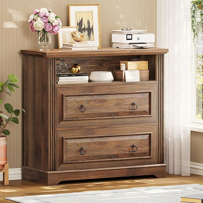 Itaar 2 Drawer File Cabinet, Farmhouse Filing Cabinet by Itaar