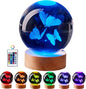 3D Butterfly Crystal Ball Lamp, Lifelike Three Butterflies Night Light by Conalisk