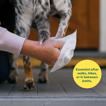 Earth Rated Pet Wipes for Dogs and Cats, Hypoallergenic, Cleaning and Hydrating - Image 3