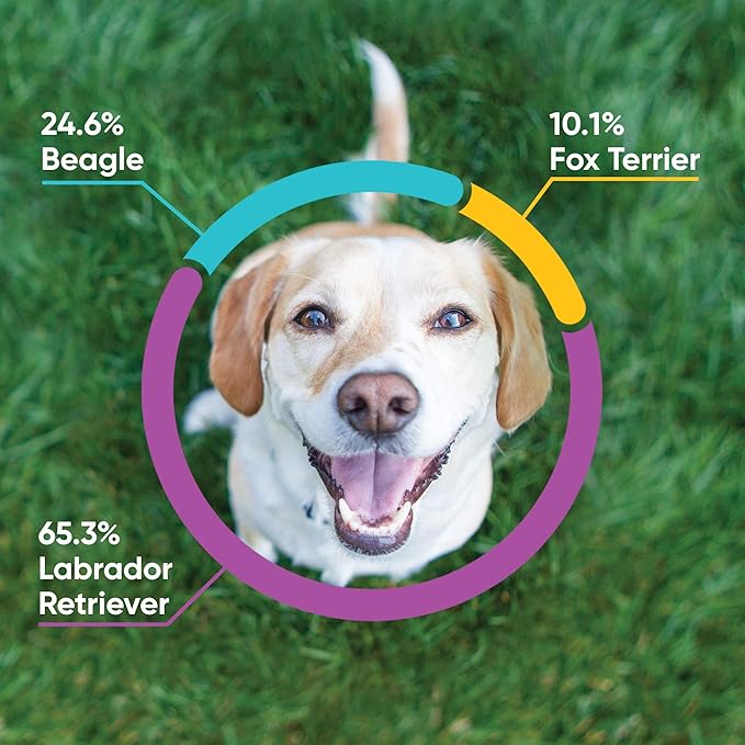 Embark Breed & Health Kit - Image 2