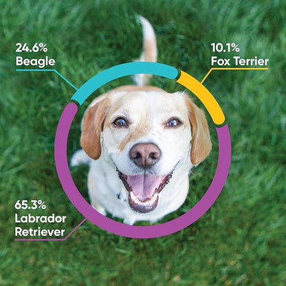 Embark Breed & Health Kit - Image 2