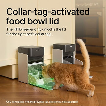 PETLIBRO RFID Cat Feeders for 3 Cats, Collar Tag for Personalized Meals - Image 3