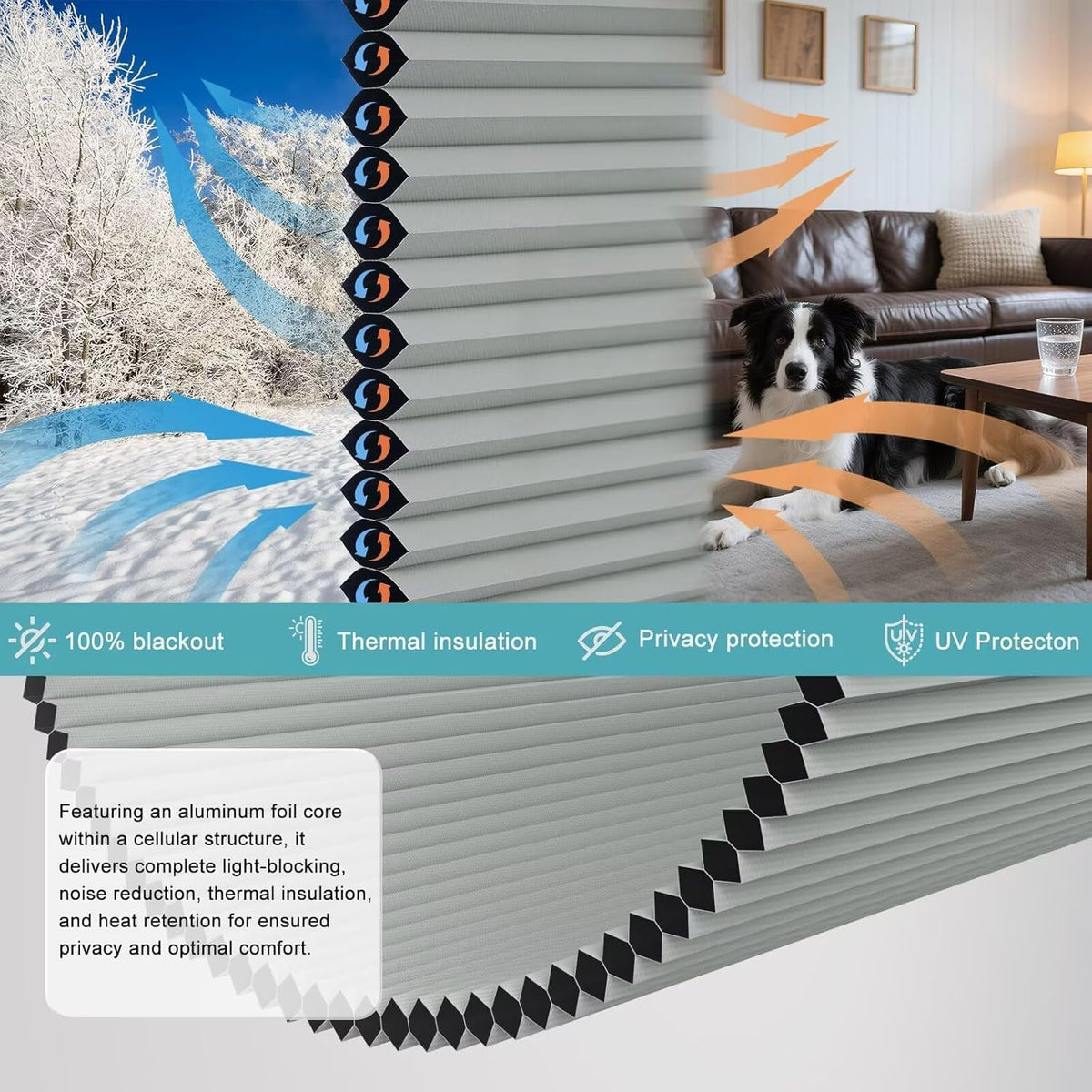 Top Down Bottom Up（TDBU） Cellular Shades, 1.5 inch Cordless Blackout Honeycomb Pleated Blinds for Windows Home Bedroom Office, Light Control, Thermal Insulated, 35" W x 64" H, Gray