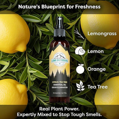 Lumi Outdoors Natural Shoe Deodorizer Spray 3 Pack Bundle - Image 6