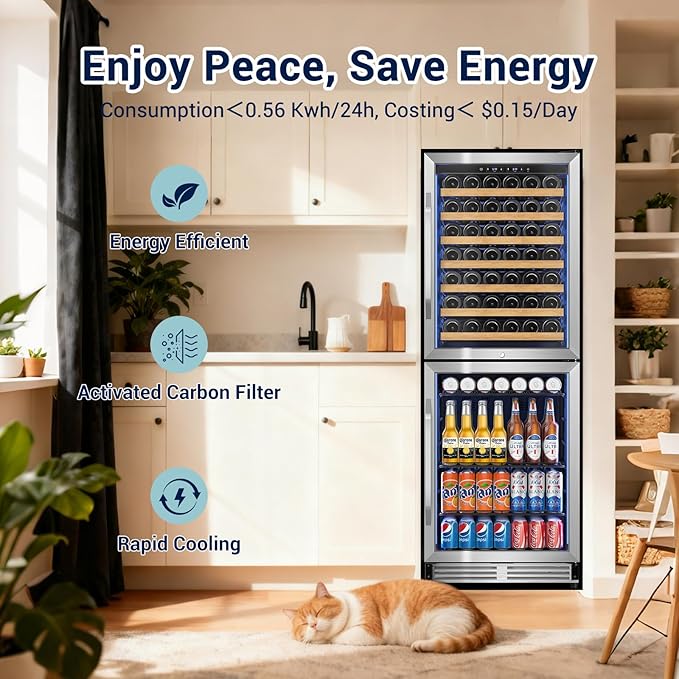 Tylza 24'' Wine and Beverage Refrigerator, Dual Zone Wine Fridge - Image 9