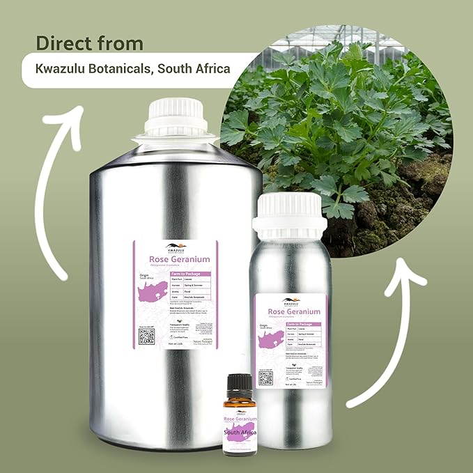 Rose Geranium Essential Oil - Image 4