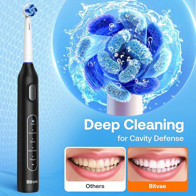 Bitvae R1 Rotating Electric Toothbrush - Image 2