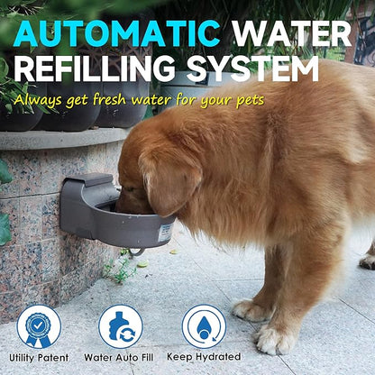 Automatic Dog Water Dispenser - Image 2