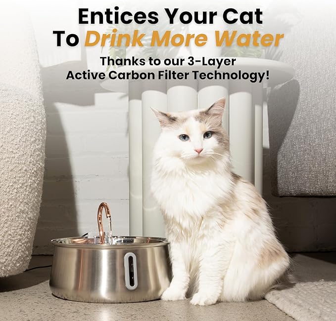 Stainless Steel Cat Water Fountain Automatic Drinking Fountain, Quiet - Image 5