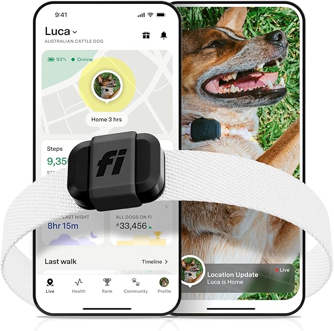 Fi Mini GPS Tracker for Dogs — 6-Month Membership Included — Smart Pet Tracking by FiSmartCollar
