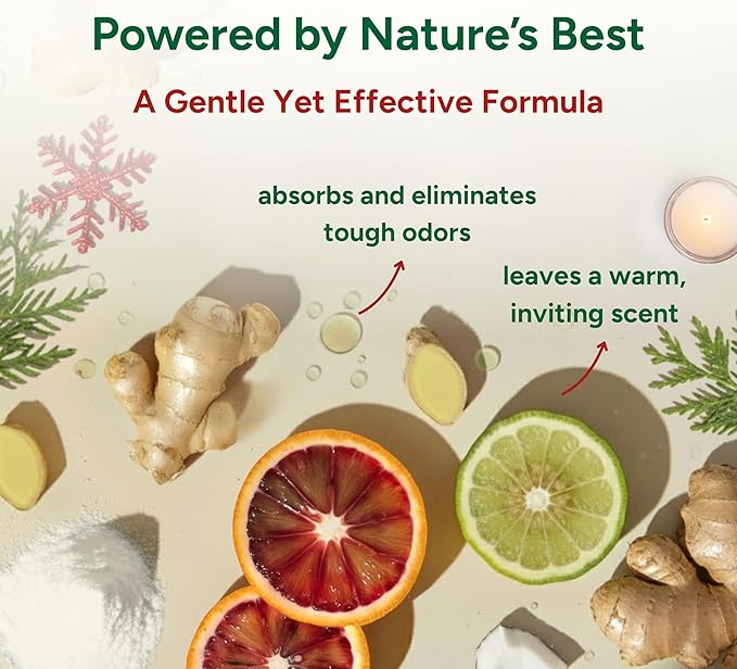 Good Natured Brand | Carpet Deodorizer & Freshener Powder | 31 oz Pet Odor - Image 4