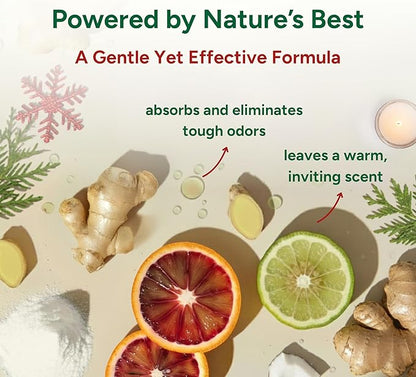 Good Natured Brand | Carpet Deodorizer & Freshener Powder | 31 oz Pet Odor - Image 4
