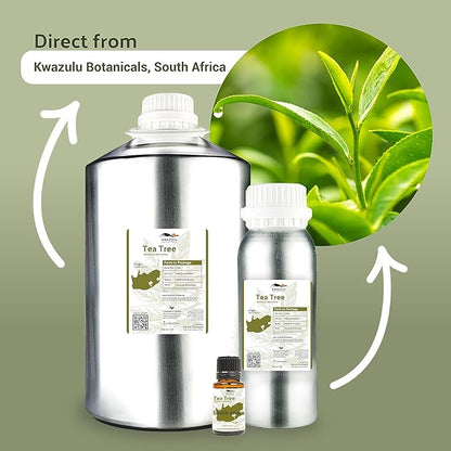 Tea Tree Essential Oil - Image 4