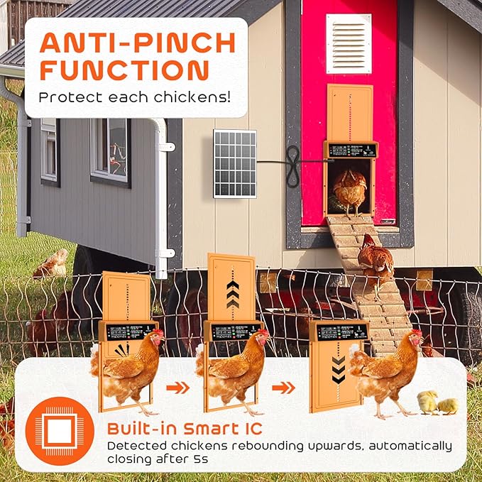 Asfrost Automatic Chicken Coop Door Solar Powered Automatic Chicken Door - Image 3