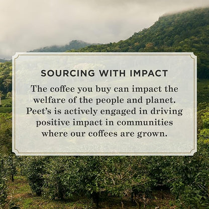 Peet's Coffee, Dark Roast K-Cup Pods - Image 6