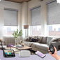 Graywind Motorized Light Filtering Shades Compatible by Graywindbeyondshading