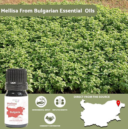Melissa Essential Oil - Image 4