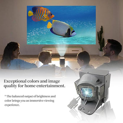 SORNEICDR RLC-079 Replacement Projector Lamp Bulb Compatible - Image 5