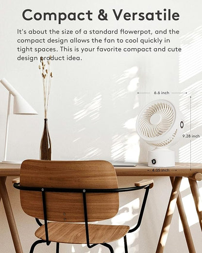 CARONSORT Small Desk Oscillating Fan, Table Air Circulator Fans - Image 2