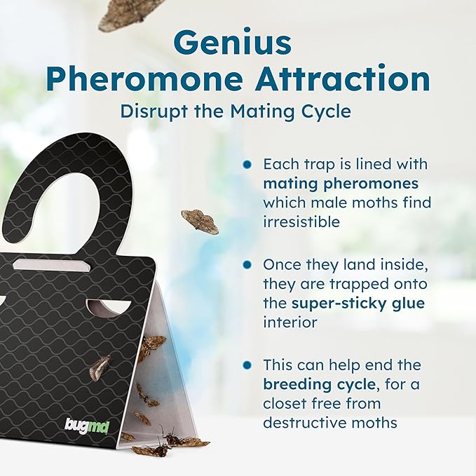 BugMD Clothes & Pantry Moth Traps – Sticky Glue Pheromone-Based Repellent - Image 7