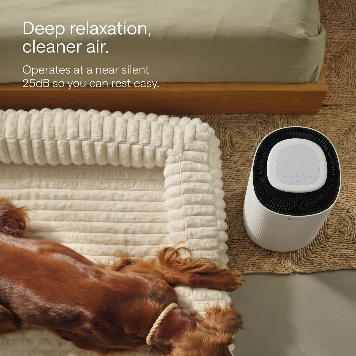 sans hepa air purifier for whole home & showing dimensions