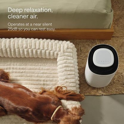 sans hepa air purifier for whole home & showing dimensions