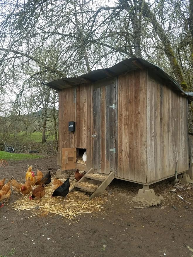 Automatic Coop Door Opener Kit - Image 5