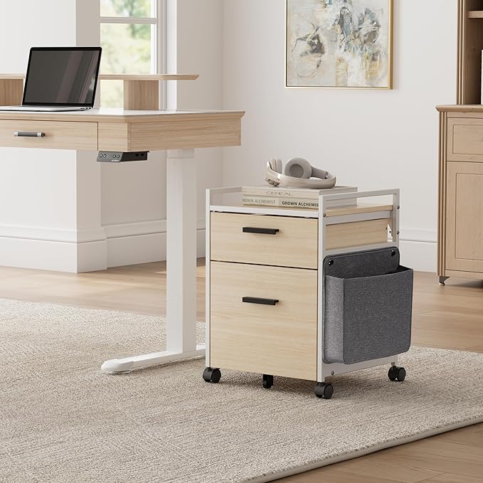 EUREKA ERGONOMIC 2-Drawer Mobile File Cabinet by EUREKAERGONOMIC