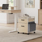 EUREKA ERGONOMIC 2-Drawer Mobile File Cabinet by EUREKAERGONOMIC