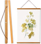 WITCOLOR Magnetic Poster Hanger Frame, 14 Inch Wide Teak Wood Magnet Poster Frame for Posters, Prints, Photos, Pictures, Maps, Scrolls, and Canvas Artwork