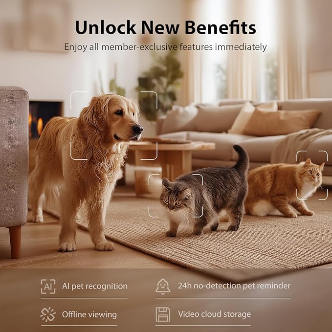 IMIPAW Automatic Cat Feeder - Image 7