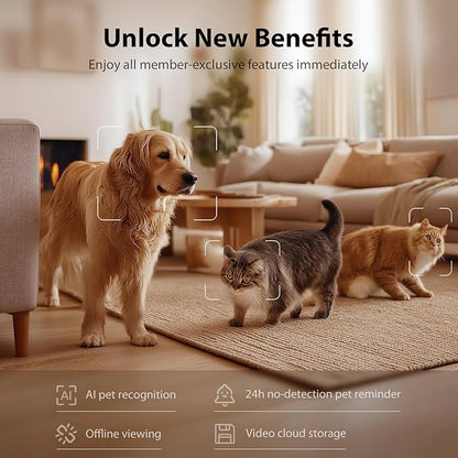 IMIPAW Automatic Cat Feeder - Image 7