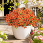 12 Bundles Artificial Flowers for Spring Summer Outdoor Decoration Fake Flowers by FUTBER