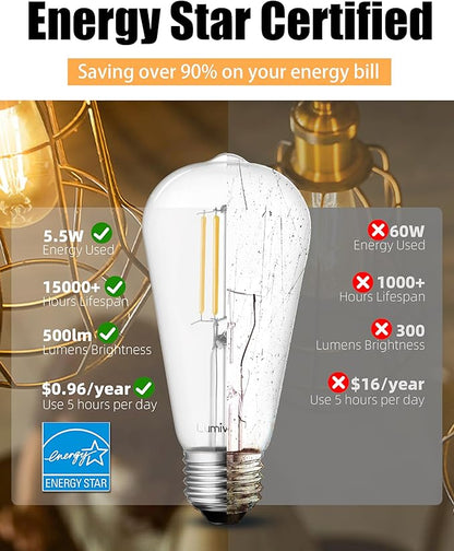 Lumiverse Dimmable Edison Bulbs 60 Watt LED, 2700K Soft White, Antique Style - Image 4